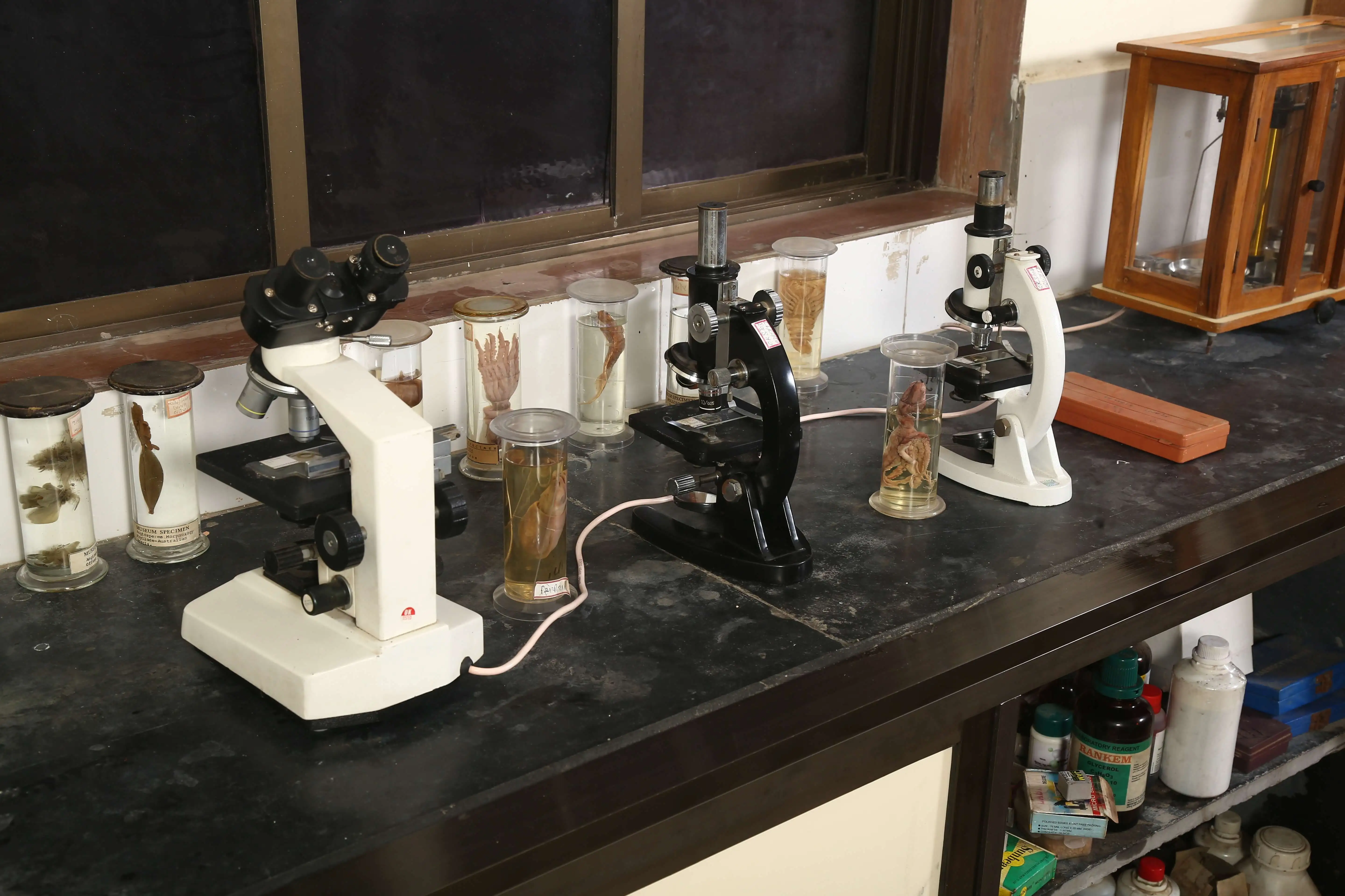 https://saraswat.creativediva.in/wp-content/uploads/2026/09/science-lab.webp